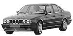 BMW E34 C113A Fault Code